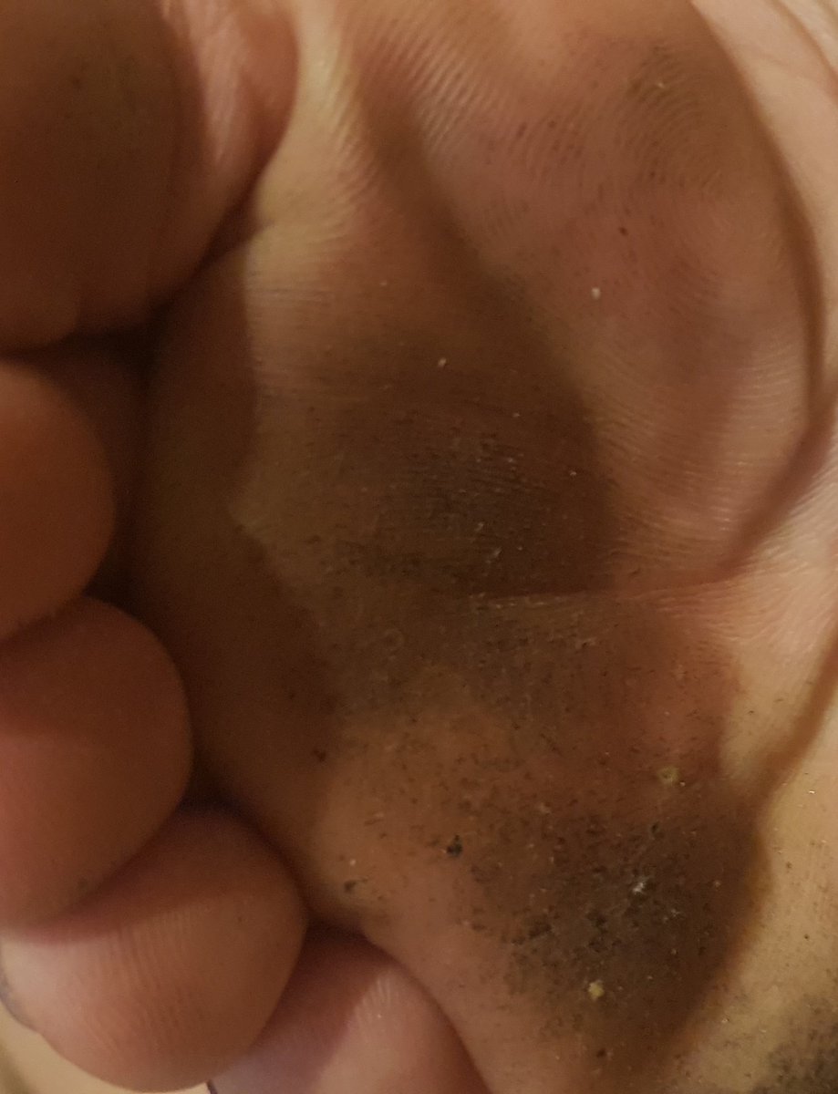 isaxisxisxis's tweet photo. Vem limpar, se punhetar e me servir.
.
.
.
.
#findom #findombr #finsub #corno #cuckold #otario #capacho #paypig #moneyslave #cashslave #smokingfetish #reembolso #spit #tributo #otario #vendopack #vendoconteudo #scat #livepix #pixgg #packdopezinho https://t.co/m8IaugXrlX