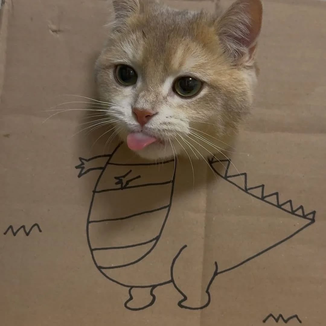 Catsillyness's tweet photo. https://t.co/WRuzuDanlr