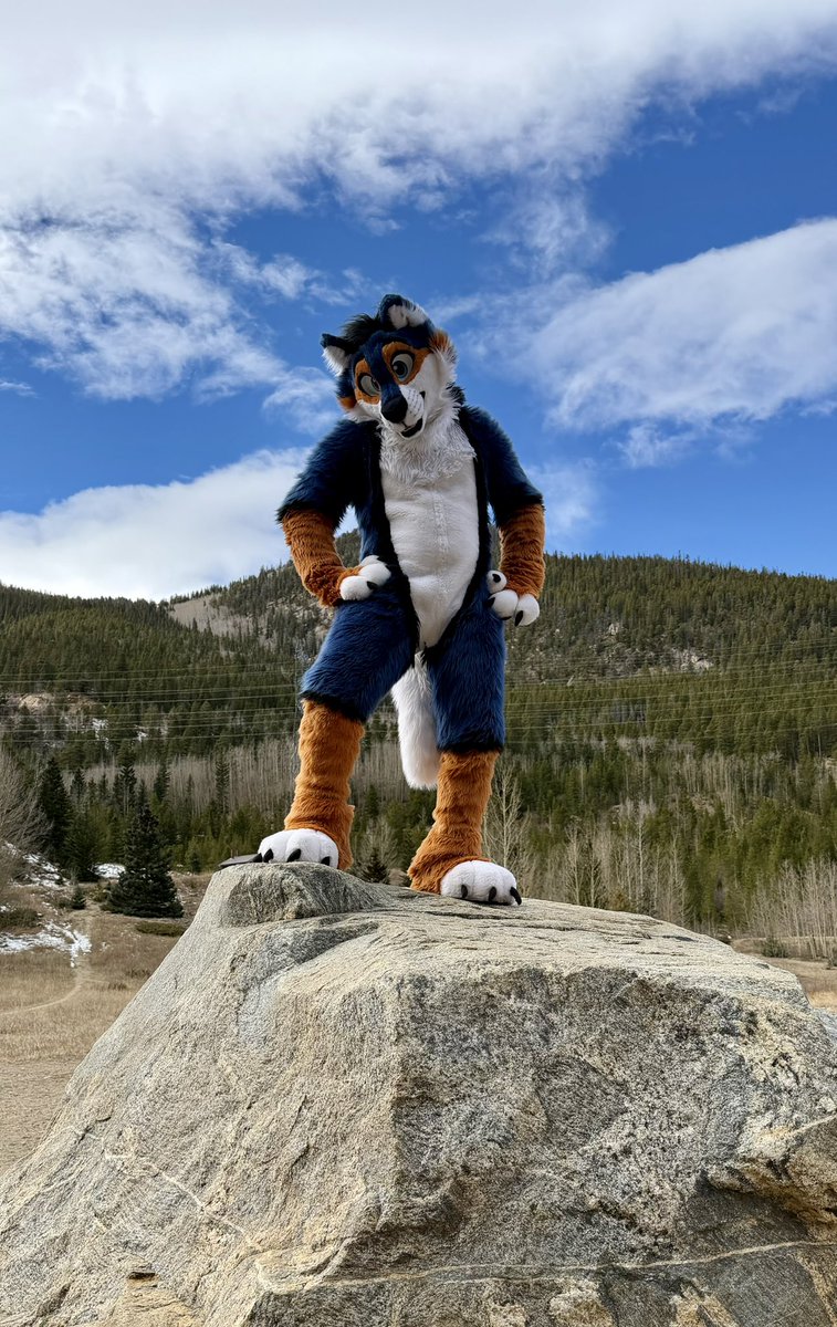 Amarok on a Rock?!👀

📸 <a href="/PackerDog30/">Packer 🔜 ANE, NFC, LVFC, FWA</a>