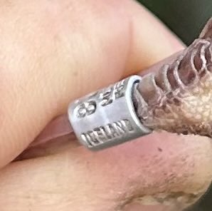 Sam Bayley tweet media