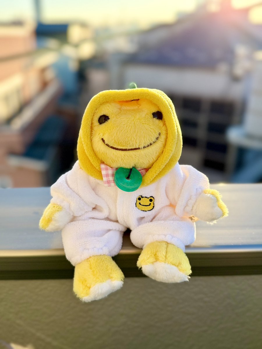 おはようございます☀️ 毎日良い天気なのに、予定のある今週末だけ雨