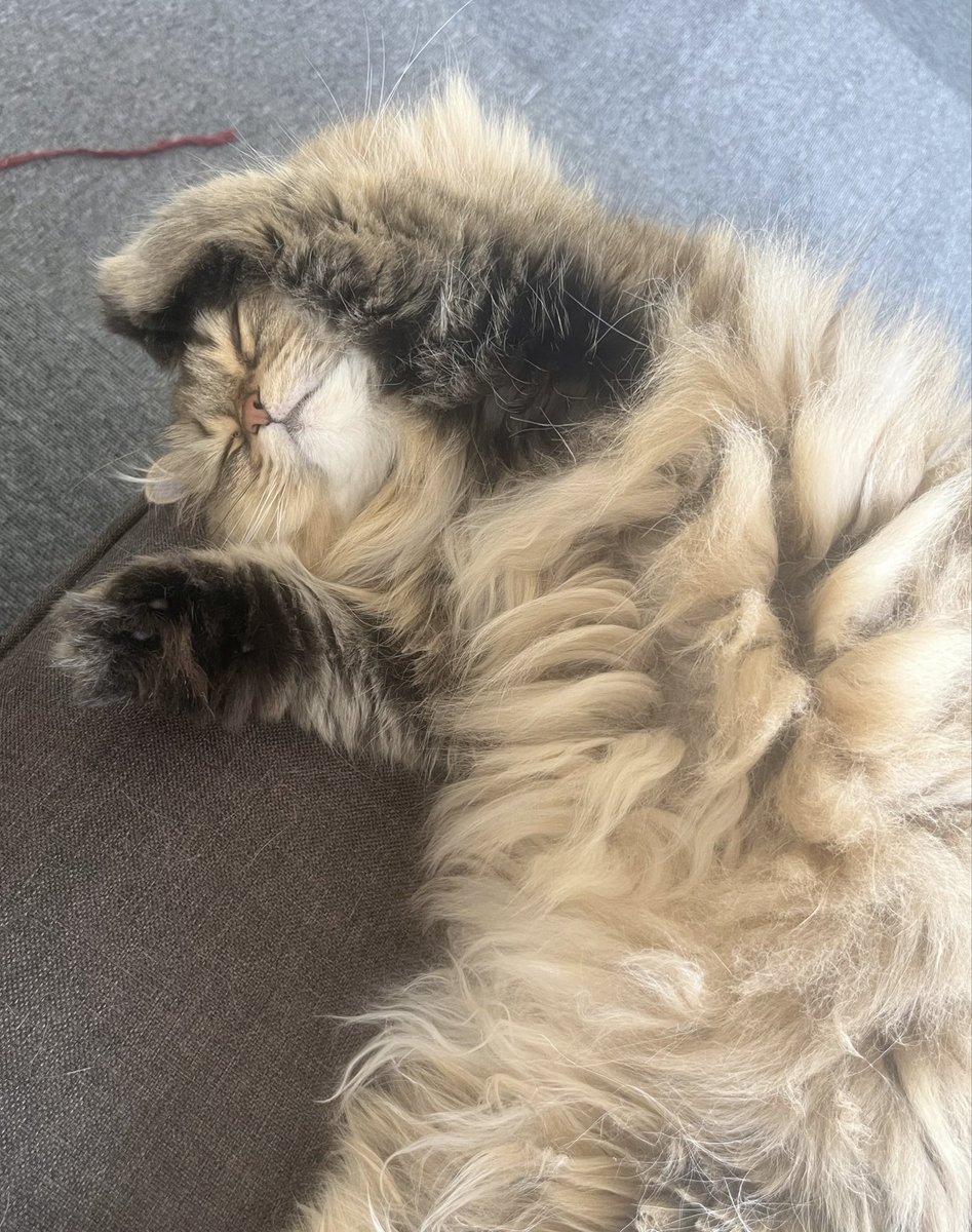 茶々ママ (@chachamama0515) / Posts / X