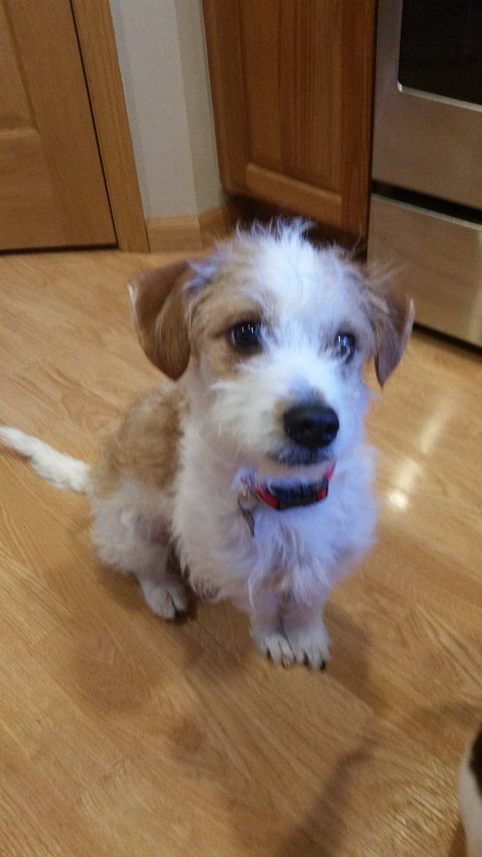 Sheryll300's tweet image. 