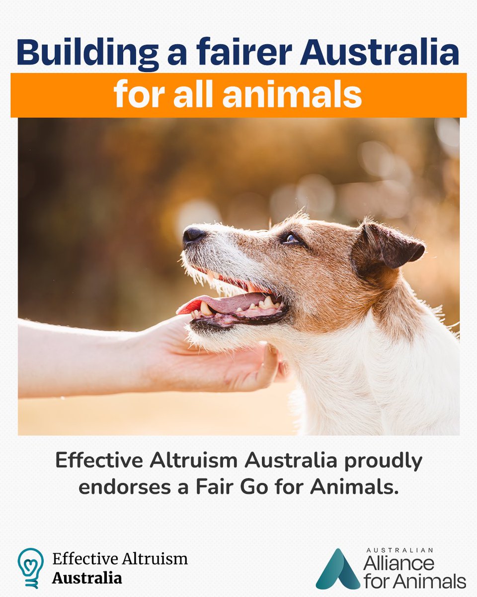 Australian Alliance for Animals tweet media
