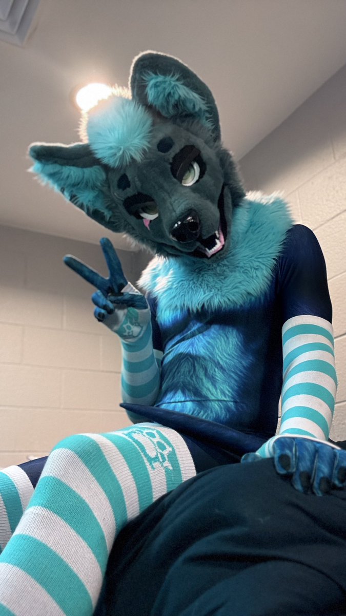 Bark or Bleat tweet media