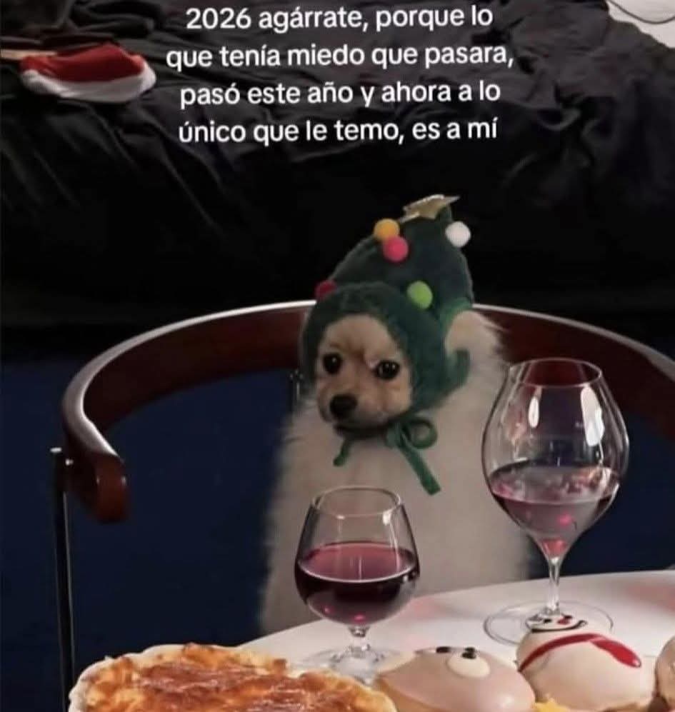 angelo_uf's tweet image. 