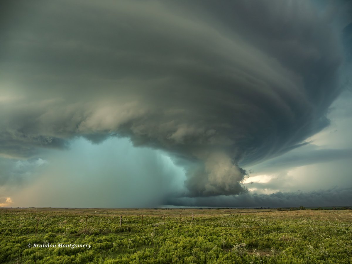 Brandon Montgomery tweet media