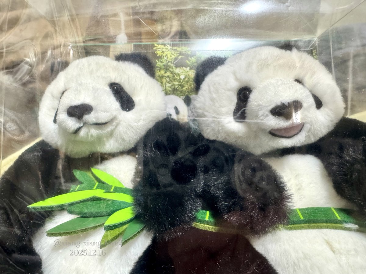 上野動物園　パンダ　ぬいぐるみセット 暁暁＆蕾蕾 上野動物園 パンダぬいぐるみセット 暁暁＆蕾蕾