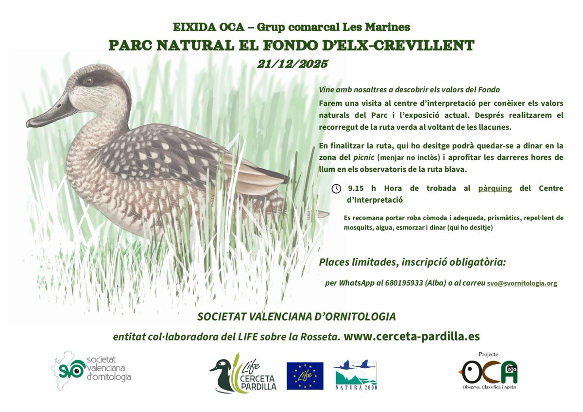 Y para los pajareros/as de la provincia de Alicante también tenemos una salida ornitológica este domingo 21 a las 9:15 🦆

La inscripción es obligatoria 👇