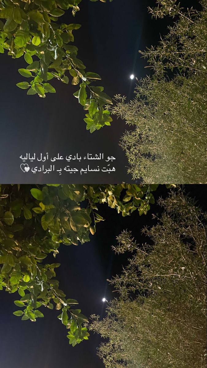 يوشا🪽 (@aishae36) on Twitter photo 