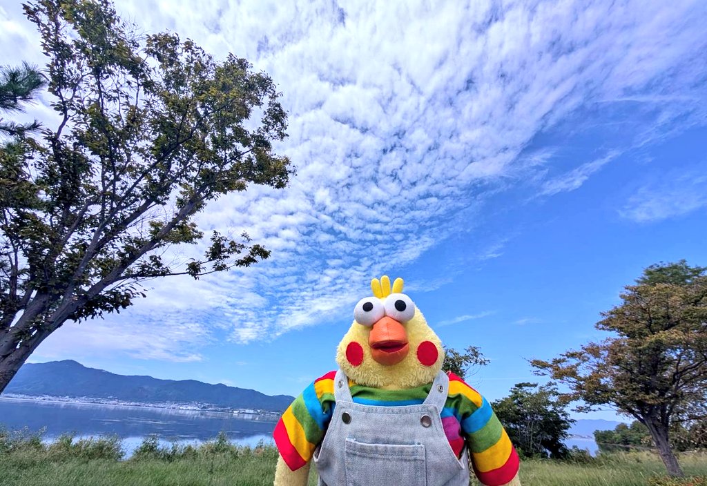 ポインコと山歩き🐥🐥🐾 (@paopaopanda_jp) / Posts / X