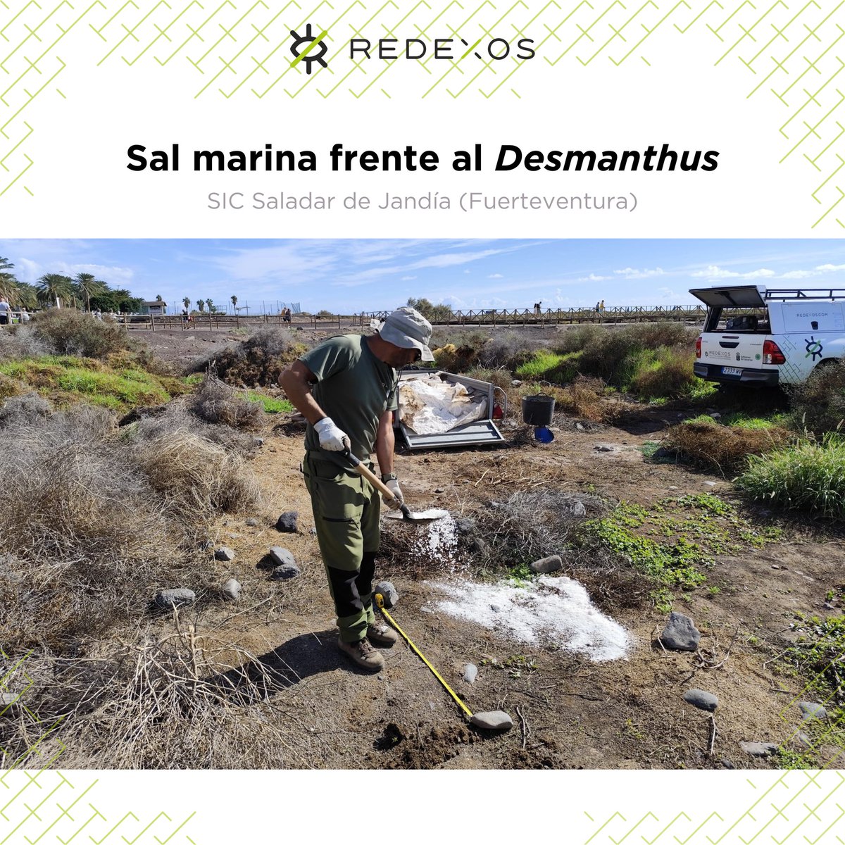 RedEXOS_Gobcan tweet media