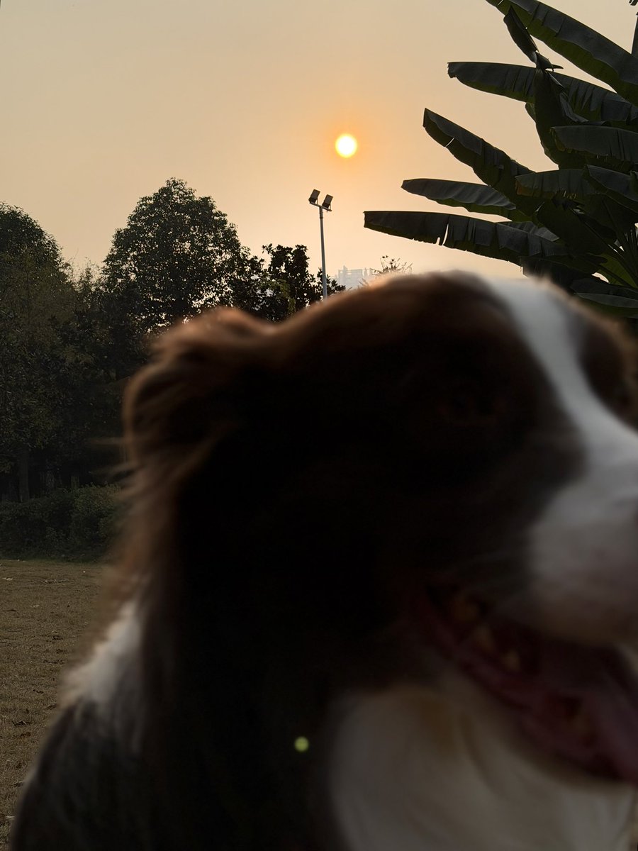 成都又是艳阳天.
