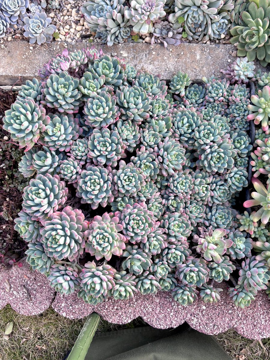 やまなつ@ (@yama8natu_) / Posts / X