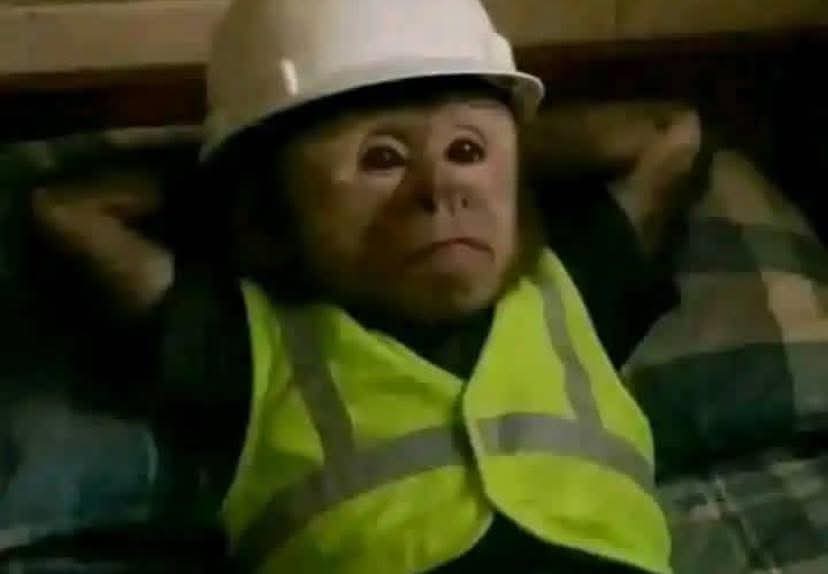 Ntsako Baloyi tweet media