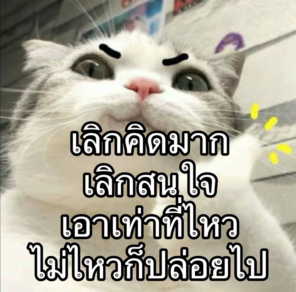 ใครสักคนกล่าวไว้ tweet media