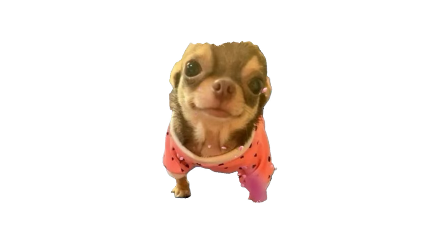 OG_BDawg tweet media