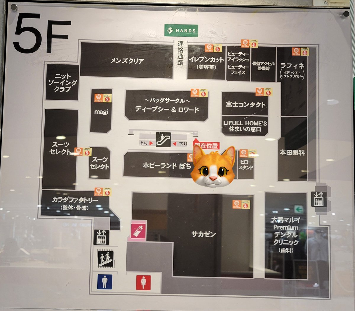 フロンティア占い館♦︎フロンちゃん (@frontier_uranai) / Posts / X