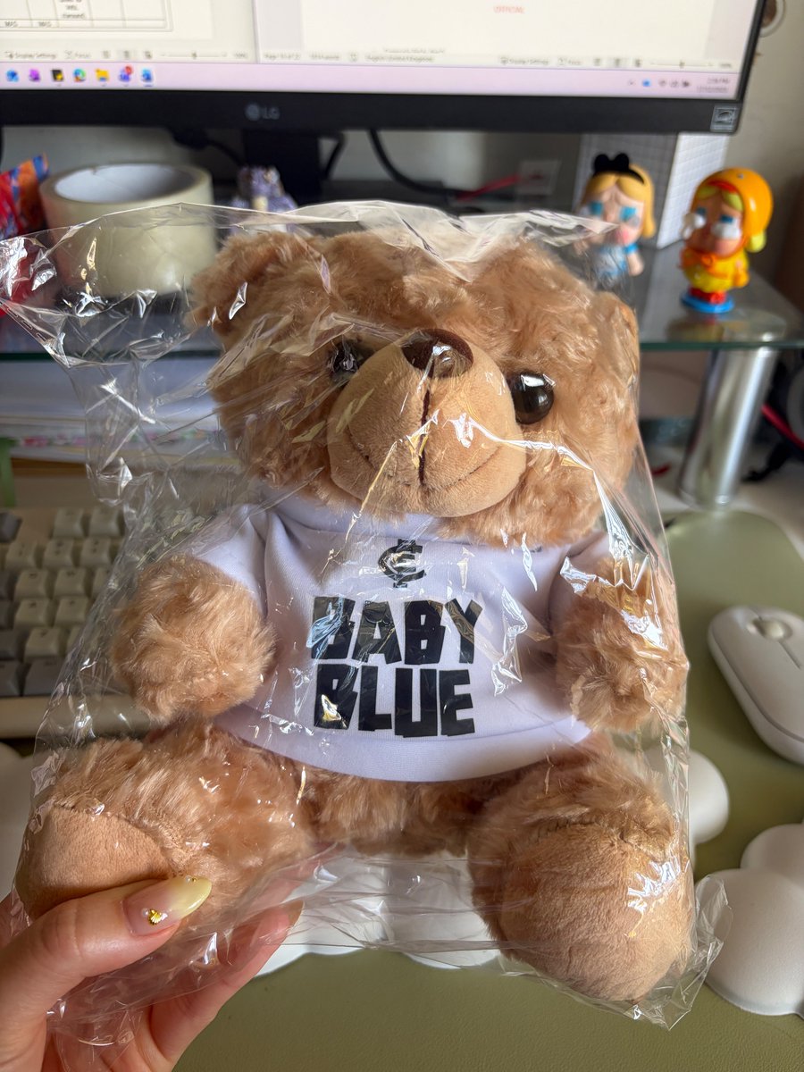 traceyt__'s tweet image. How cute is this bear in the Carlton Baby Blue’s membership!!