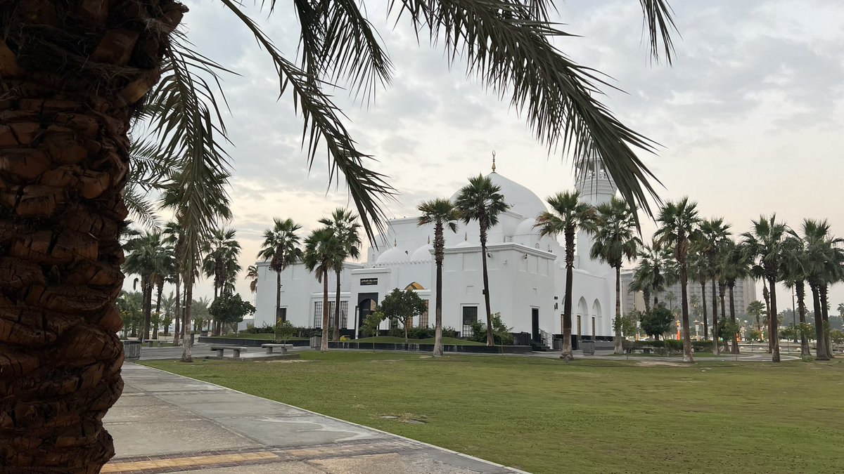 Lucio 🇸🇦 tweet media