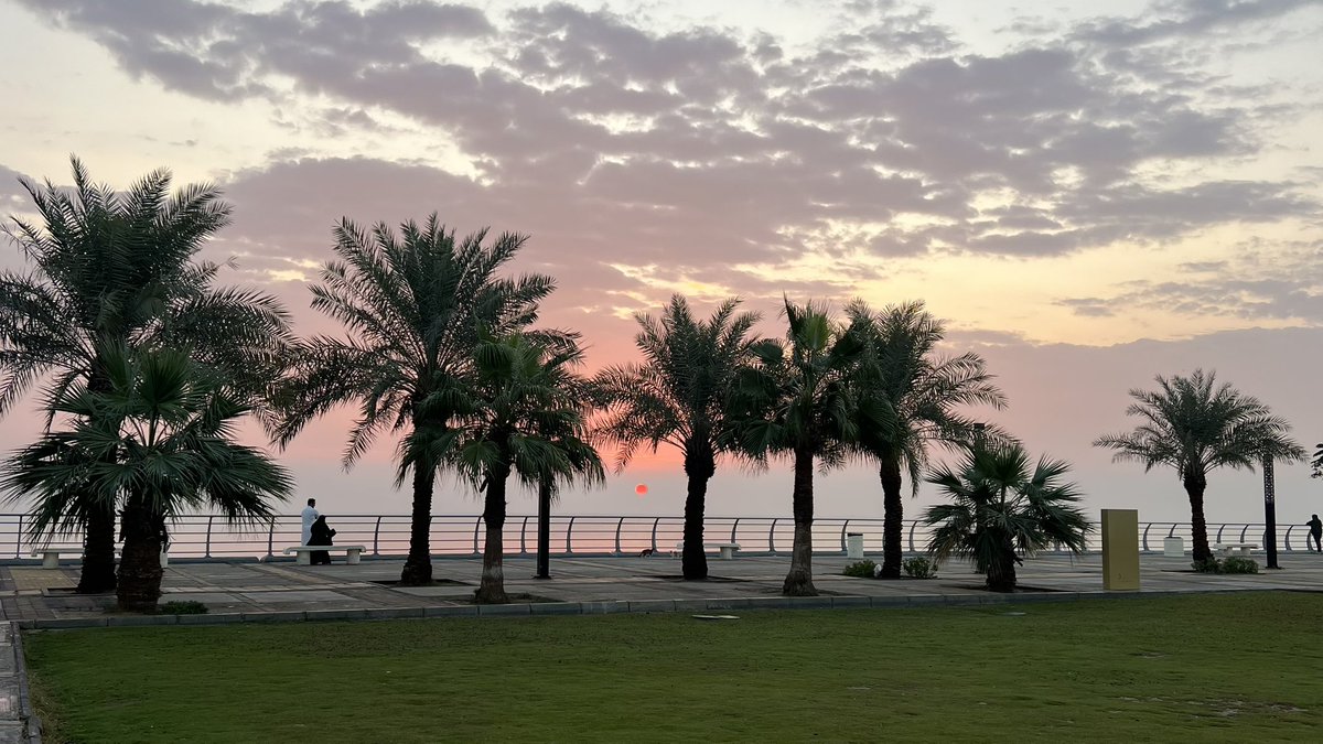 Lucio 🇸🇦 tweet media