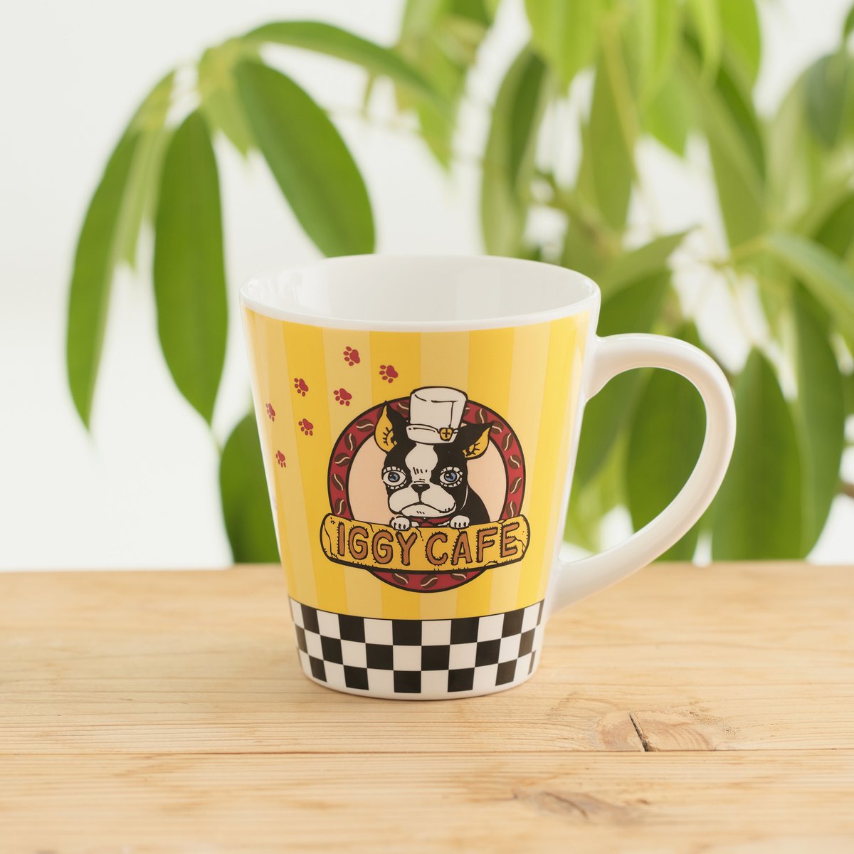 IGGY CAFE プレート イギー JOJO WORLD 2個セット 9月19日発売新商品紹介ッ！】 ＼「IGGY CAFE」プレート／ 「IGGY CAFE