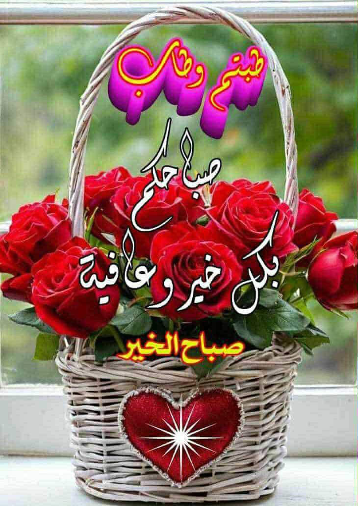 __qwp1's tweet photo. @Ahalm135toto https://t.co/bUrWhr1VON