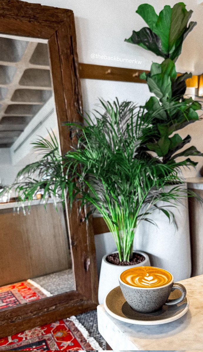 .

. 

اللهمَّ ‌السلام‌ والأمان‌,اللهمَّ الرضا والسعاده الدائمه

. 

صباح الخير والسعادة للجميع