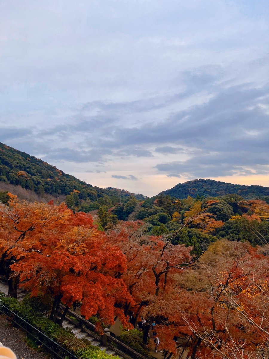 มาจ้า เรทปังๆ

🔼100,000₩ 0.0220
🔼500,000₩ 0.0219
🔼800,000₩ 0.0218

⭐️1 ล้าน 0.0217

✅ใส่ชื่อได้ฟรี
🙅🏻‍♀️ไม่รับสแกน,บัตรเครดิต
🛒โอน ktown เว็บได้หมด

‼️ติดต่อไลน์เท่านั้น‼️
lin.ee/FoWSXYE 

#รับโอนเงินเกาหลี #โอนเงินเกาหลี #โอนเงินวอน