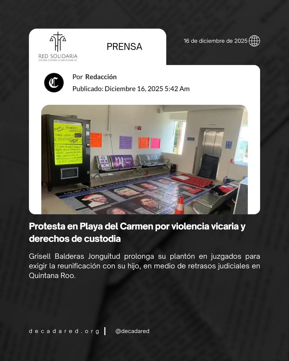 Red Solidaria Década Contra la Impunidad AC tweet media