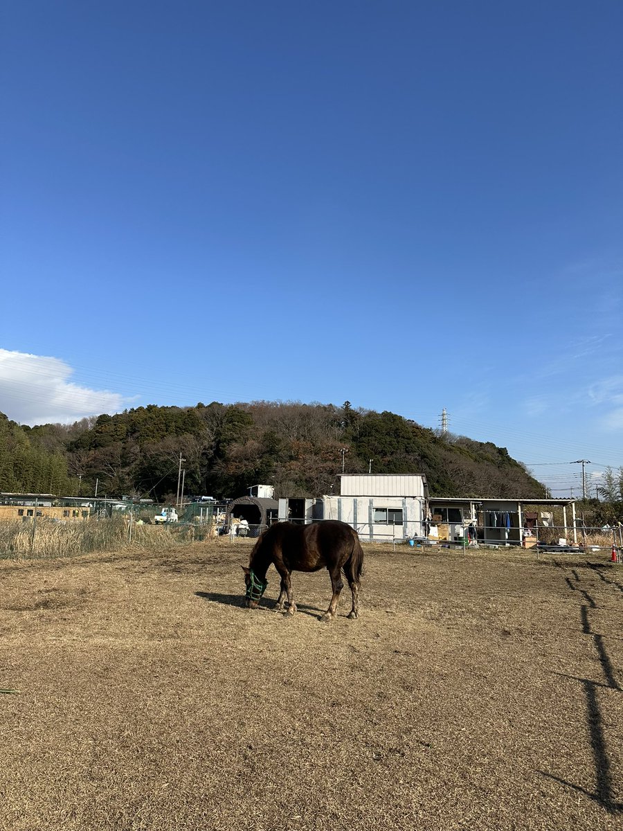 牛タンちゃん (@onakaippai_damo) / Posts / X