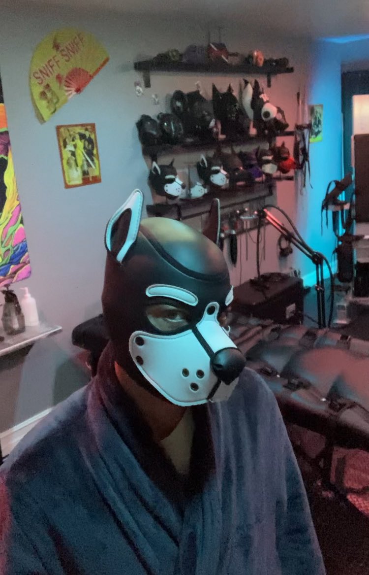 PupJibbs tweet media