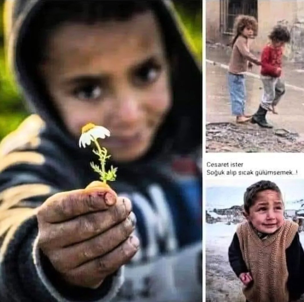 Bize "yeni bir yıl" değil.
"YENİ BİR İNSANLIK" gerekiyor......

#günaydın yaşamak ☀️
#huzurla💙🐬🌼
#umutla 🍀
#çarşamba 
#Aralık