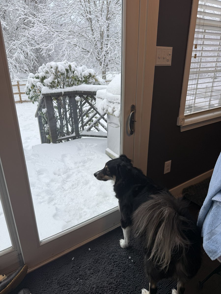 I promise I’ll only want to go outside 17 more times after this.