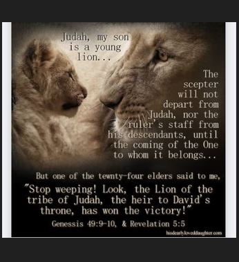 Michael65413248's tweet photo. 17Dec25 Wed #MassReadings
https://t.co/m0asTq8u9y
Saints’ Commentaries
#Genesis49:2,8-10 Rev.#GeorgeLeoHaydock
https://t.co/fm2n0ubjur
#Psalm72 #StAugustine
https://t.co/z7zr3zTclz
#Matthew1:1-17 #CatenaAurea https://t.co/s3bFhc9ofB
Sending You Peace, Joy & Love from #Singapore! https://t.co/KDHrJIlsA0
