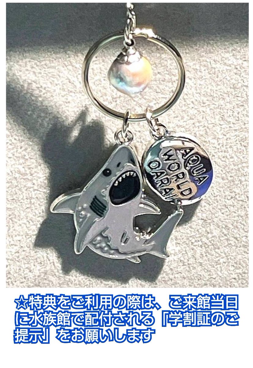 アクアワールド大洗水族館⚪️💍✨真珠取り出し体験 (@pearl_oarai