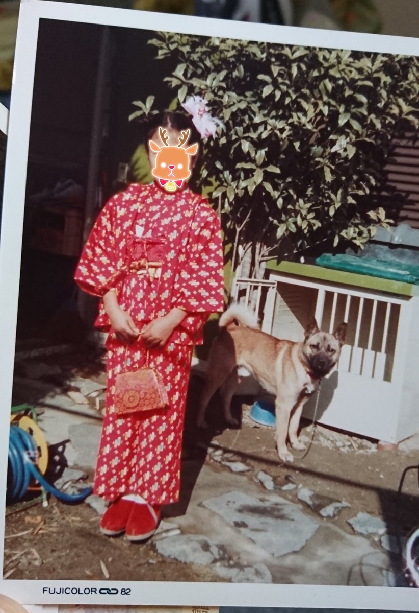 るう アンティーク着物沼_(:3 」∠)_ (@kimono_ruu) / Posts / X