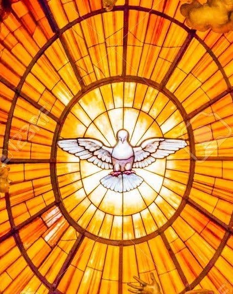 TarekSaidVzla's tweet image. ESPÍRITU SANTO

"Oh Espíritu Santo,
Amor del Padre y del Hijo,
Inspírame siempre
lo que debo pensar,
lo que debo decir,
cómo debo decirlo,
lo que debo callar,
cómo debo actuar,
lo que debo hacer,
para Gloria de Dios,
bien de las almas
y mi propia Santificación.
Espíritu Santo,…