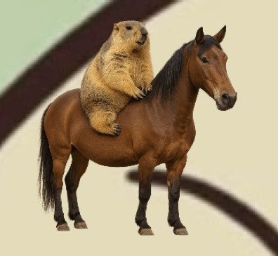 さいこうなのです😍😍