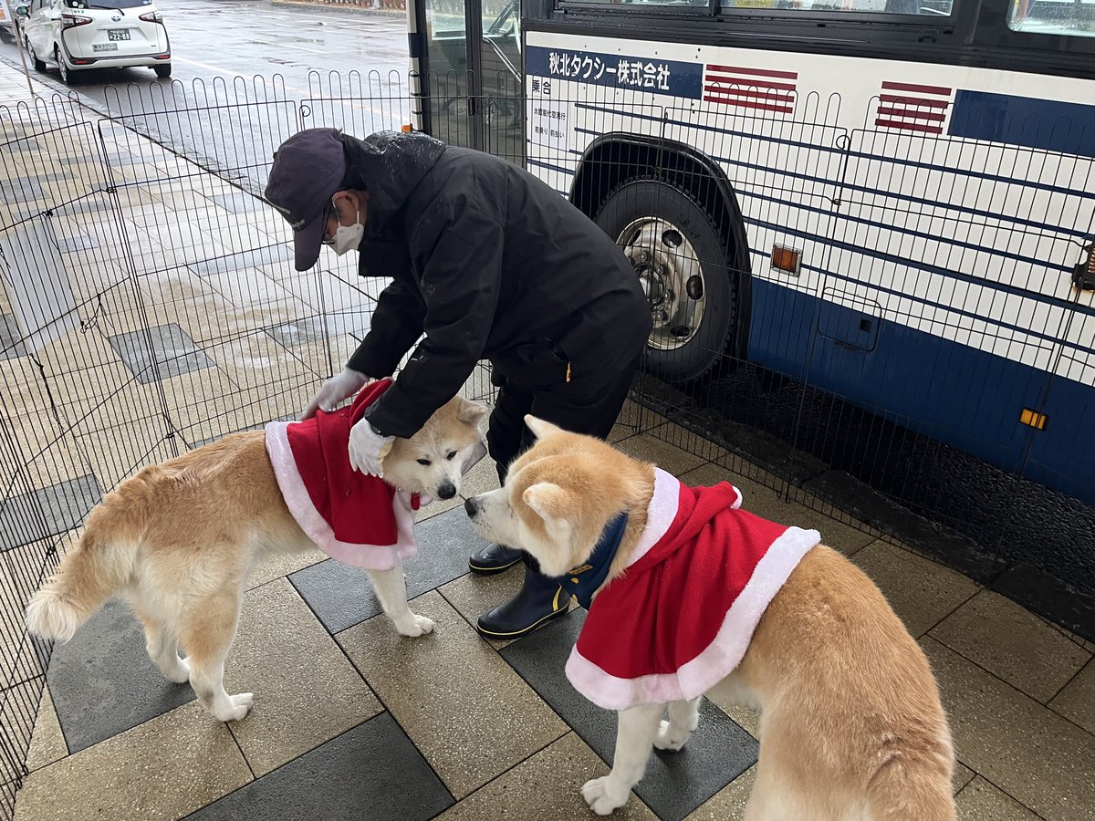 fumi (@fumi9907) / Posts / X