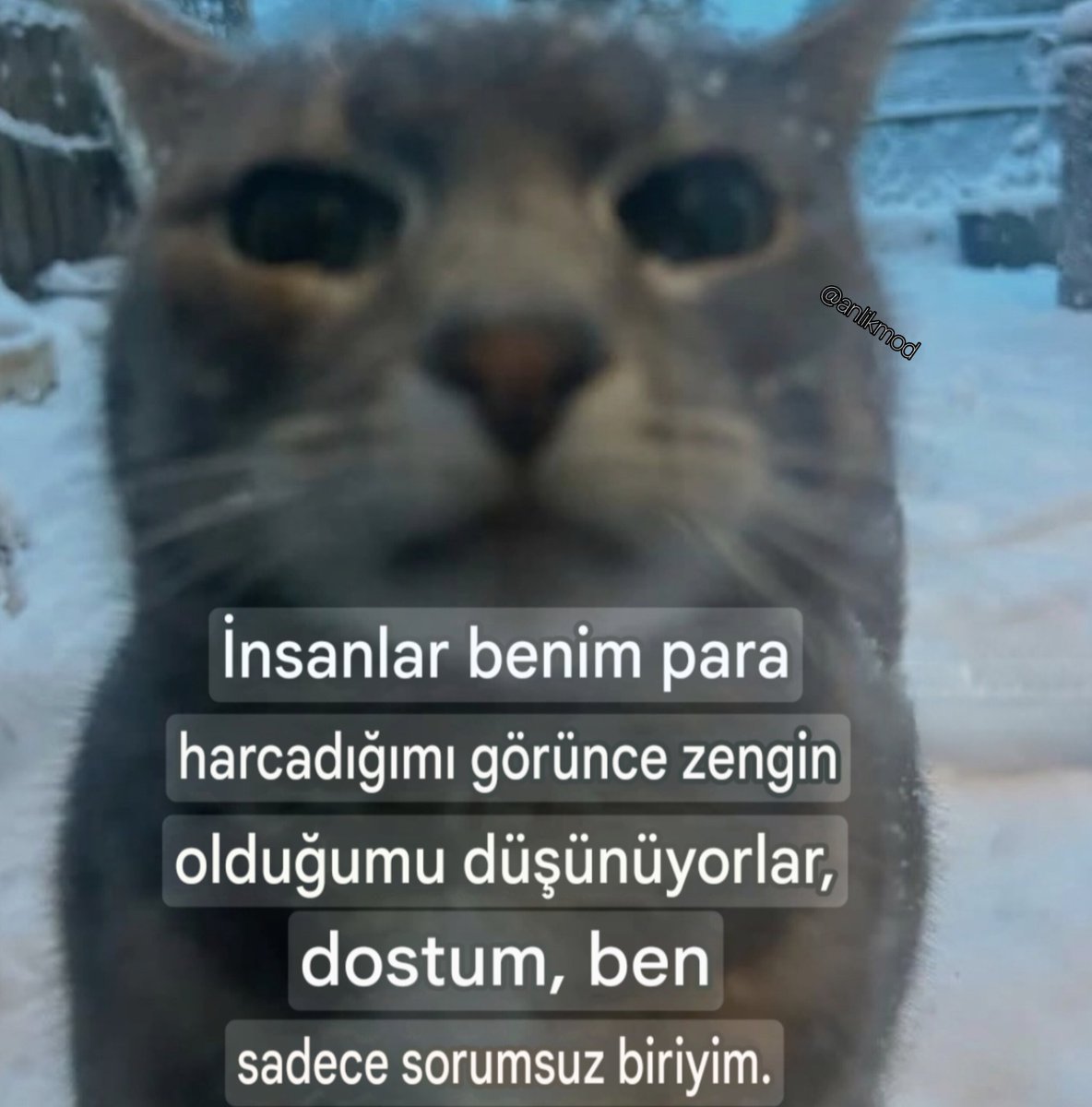 ANLIK (@anlikmod) on Twitter photo 