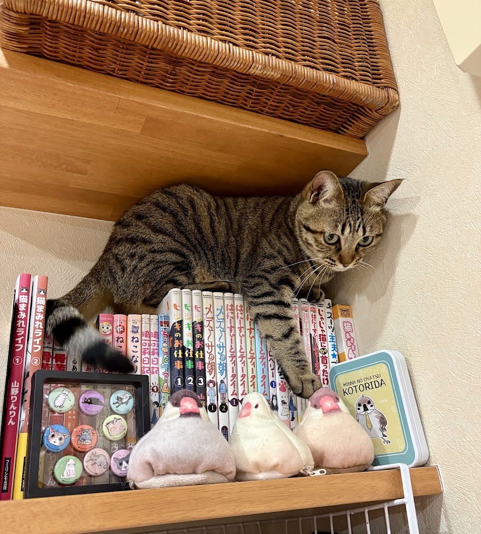 山野りんりん🐈お仕事募集中 tweet media