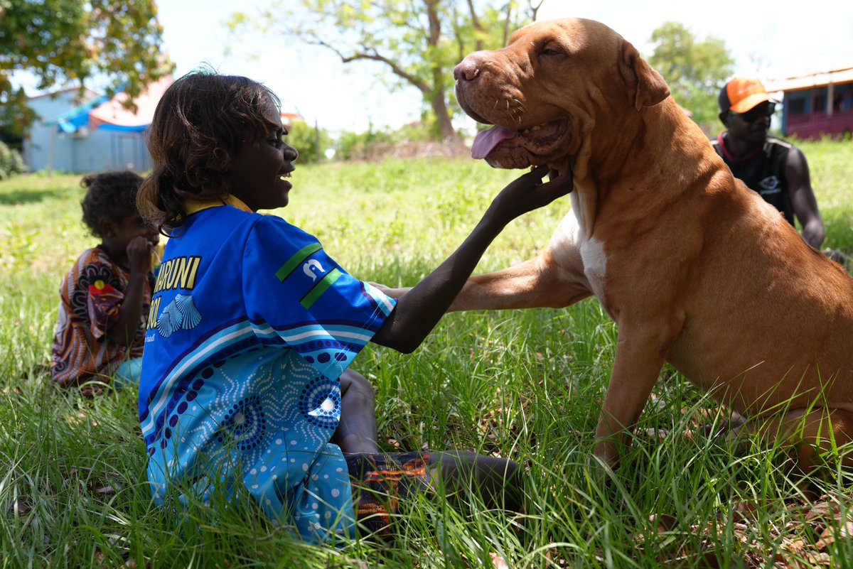 reddustoz's tweet image. Island Life! 🏝️
Our most recent Healthy Living Program in Minjilang saw the coming together of different generations, the active preservation of culture and the passing down of ancient stories to the children of that community. Read more here ow.ly/iseE50XKG5b