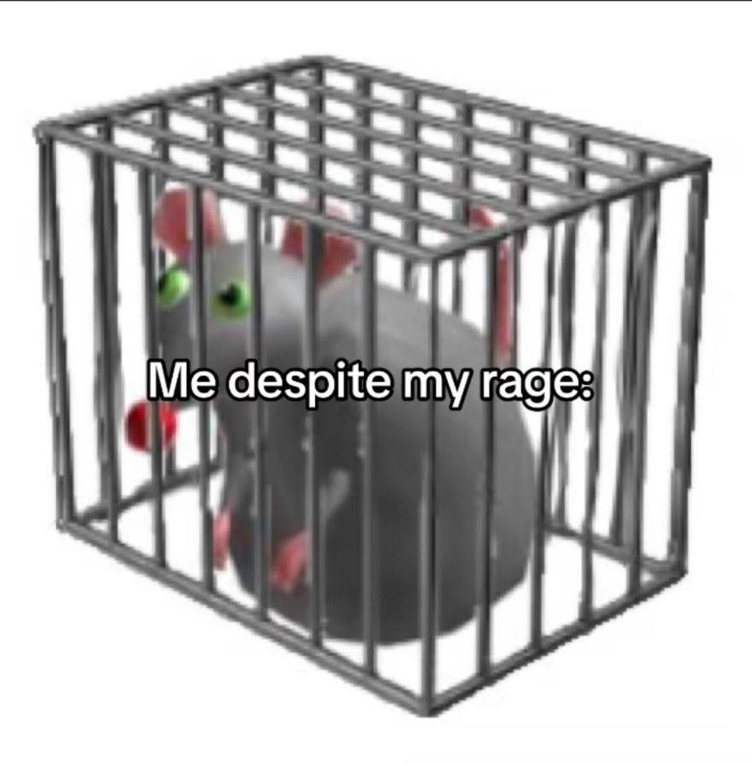 Bunjee_Ch's tweet image. 