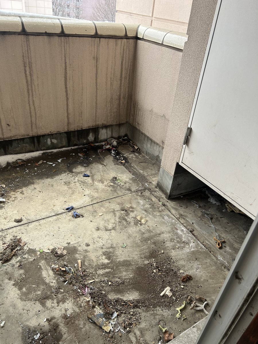 不用品回収に依頼で札幌市東区にお伺いしました。ベランダに放置された