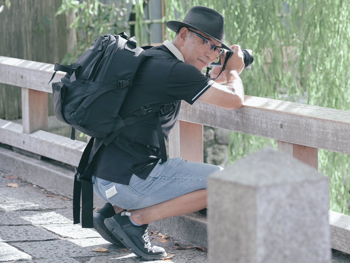 11匹の猫 tweet media