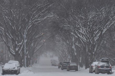 Environment Canada warns that the Edmonton area is forecast to see 15–30 cm of snow by Wednesday evening 🥶❄️