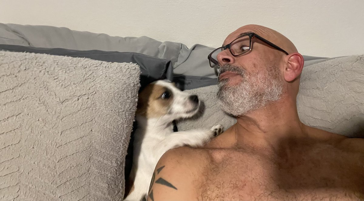 carmuel70's tweet image. #Poppy #petlover #daddy #papadeperro #dogman #petlovers