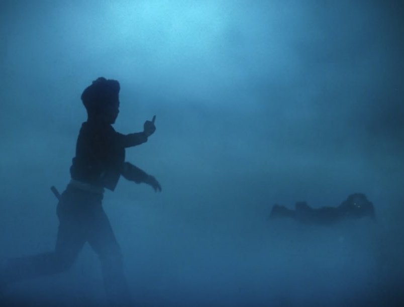 sem brincadeira essa é a imagem mais linda do ano