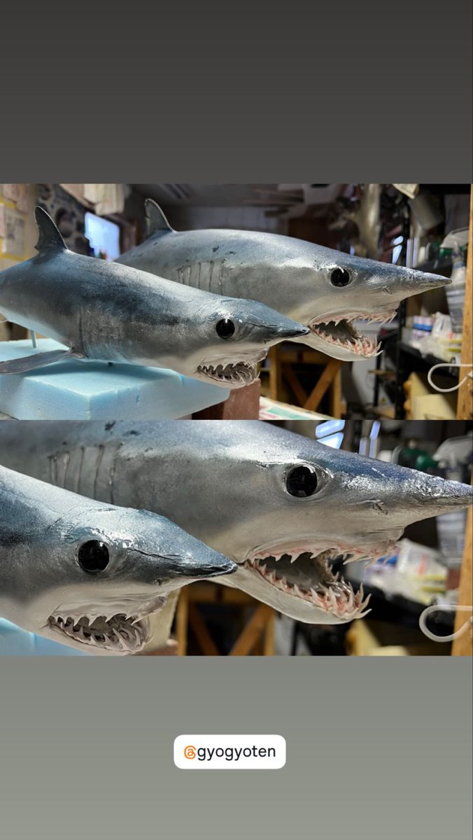 オガワアート（小川貴光）魚類剥製作家、魚人基地、魚魚展